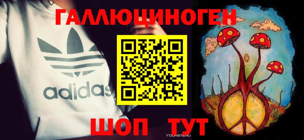 Бердск  Псилоцибиновые грибы ЛСД  Псилоцибиновые грибы Psilocybe  Вход с VPN 